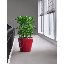 Lechuza Classico Premium önöntöző készlettel