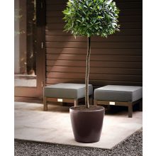 Lechuza Classico Premium önöntöző készlet nélkül