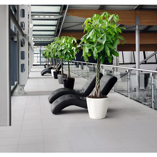 Lechuza Classico Premium önöntöző készlet nélkül