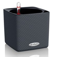 CUBE Color 14-16önöntözővel(puro)