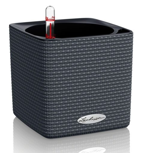 CUBE Color 14-16önöntözővel(puro)