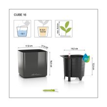 CUBE Color 14-16önöntözővel(puro)