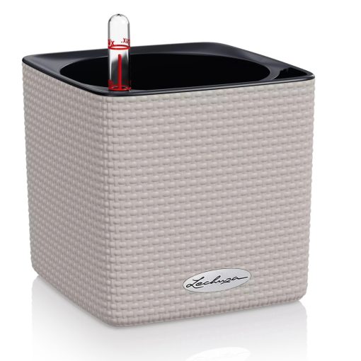 CUBE Color 14-16önöntözővel(puro)