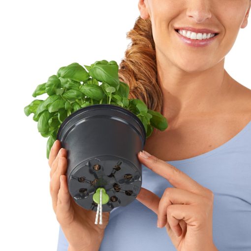 CUBE Color 14-16önöntözővel(puro)