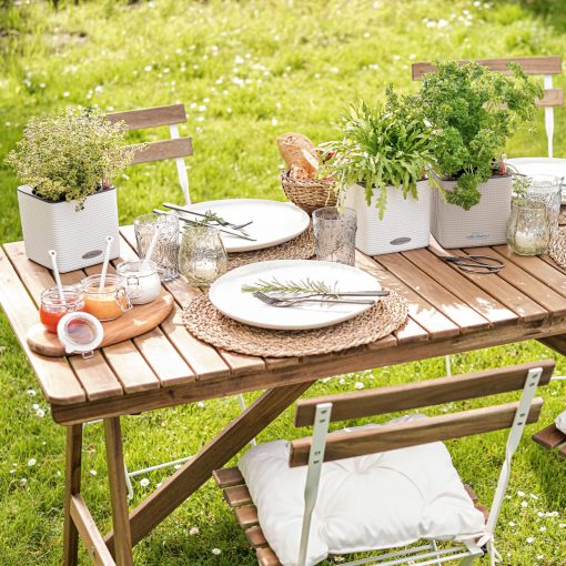 CUBE Color 14-16önöntözővel(puro)