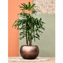 Metallic Globe Matt Coffee ghiveci decorativ