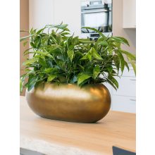 Metallic Silver Leaf Boat Matt Honey ghiveci decorativ