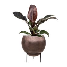 Metallic Silver leaf Globe Elevated Matt Coffee ghiveci decorativ