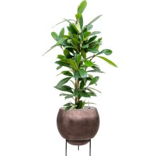 Metallic Silver leaf Globe Elevated Matt Coffee ghiveci decorativ