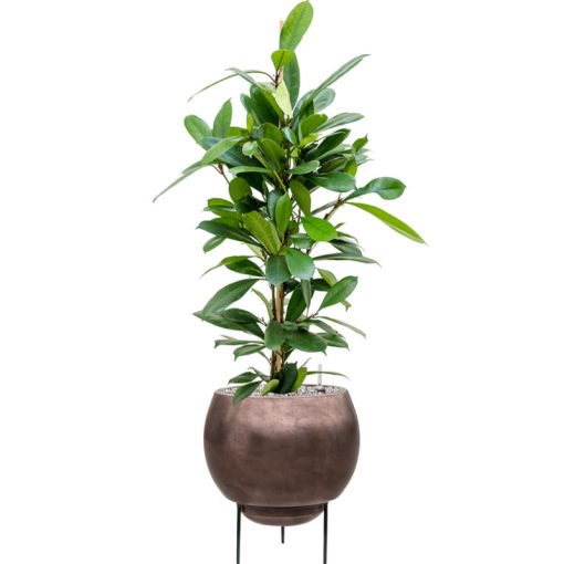 Metallic Silver leaf Globe Elevated Matt Coffee ghiveci decorativ