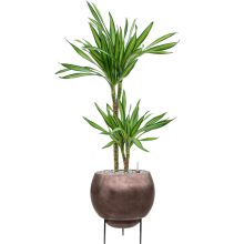 Metallic Silver leaf Globe Elevated Matt Coffee ghiveci decorativ