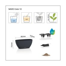 Lechuza Navio Color 10 