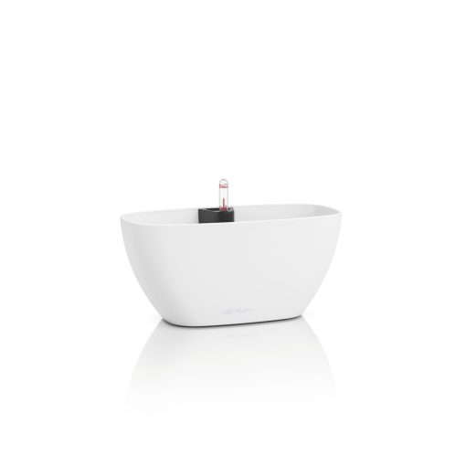 Lechuza Navio Color 10 