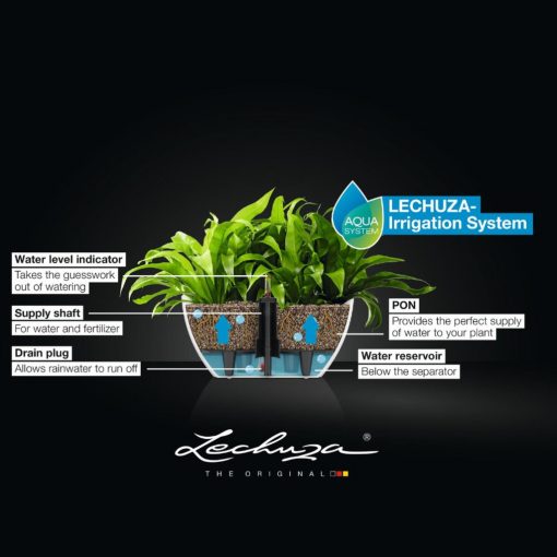 Lechuza Navio Color 10 