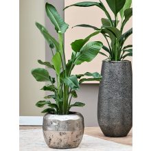 Baq Opus Raw Couple Silver Übertop