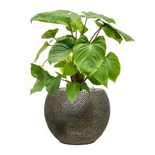Baq Opus Hit Globe Silver Blumentopf
