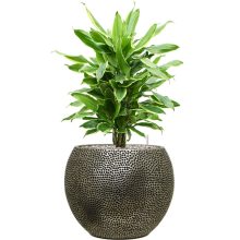 Baq Opus Hit Globe Silver Blumentopf