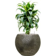 Baq Opus Hit Globe Silver Blumentopf