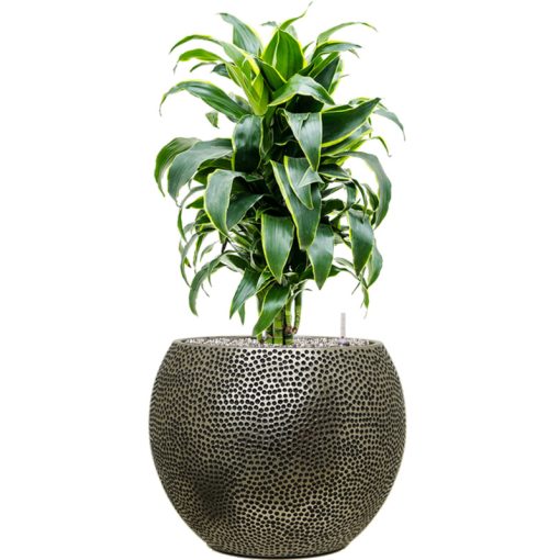 Baq Opus Hit Globe Silver Blumentopf