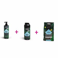 Lechuza Pálma csomagajánlat