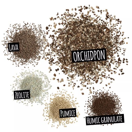 Lechuza Orchidea Pon