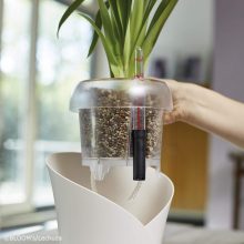 Lechuza Orchidea Pon