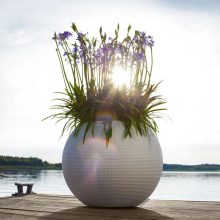 Lechuza Puro Color 50 önöntözővel kiemelhető belsővel