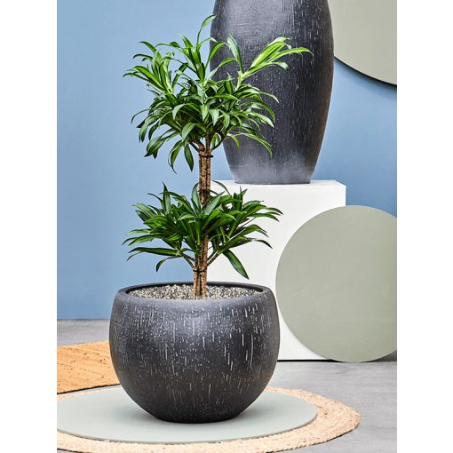 Raindrop Globe Anthracite ghiveci decorativ