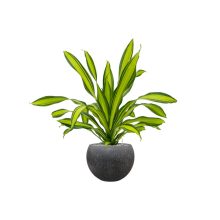 Raindrop Globe Anthracite ghiveci decorativ