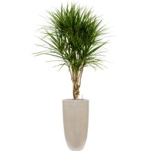 Raindrop Partner Beige ghiveci decorativ