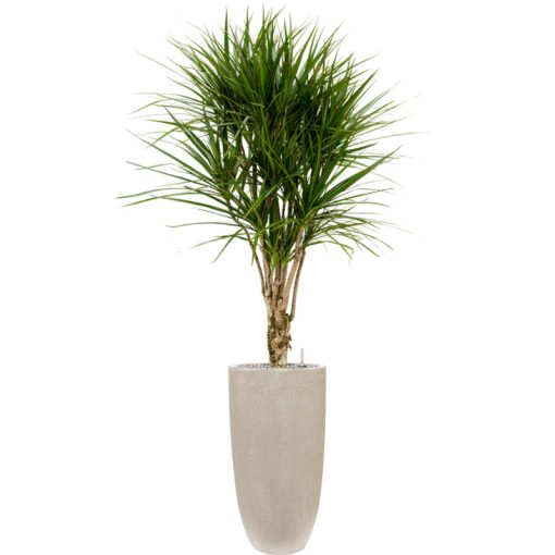 Raindrop Partner Beige ghiveci decorativ