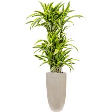 Raindrop Partner Beige ghiveci decorativ