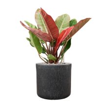 Raindrop Cylinder Anthracite ghiveci decorativ