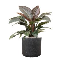 Raindrop Cylinder Anthracite ghiveci decorativ