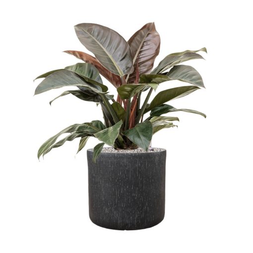 Raindrop Cylinder Anthracite ghiveci decorativ