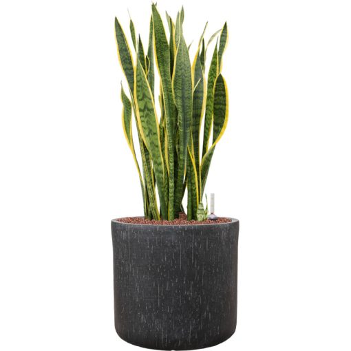 Raindrop Cylinder Anthracite ghiveci decorativ