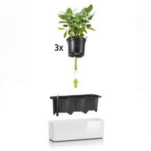 Lechuza CUBE Glossy Triple