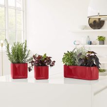 Lechuza CUBE Glossy Triple