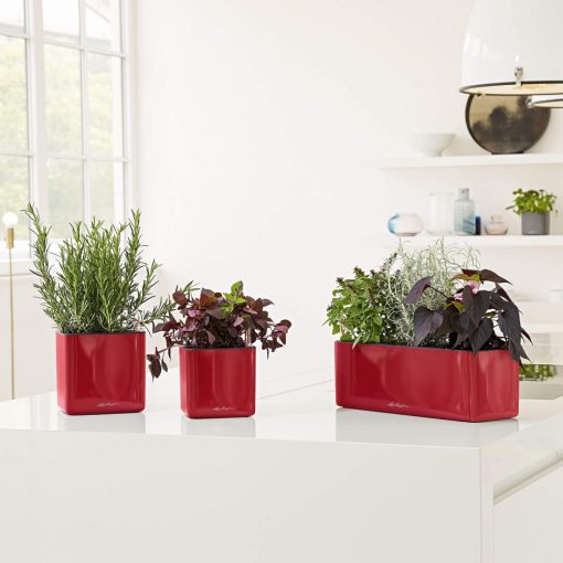 Lechuza CUBE Glossy Triple