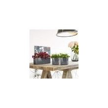 Lechuza CUBE Glossy Triple