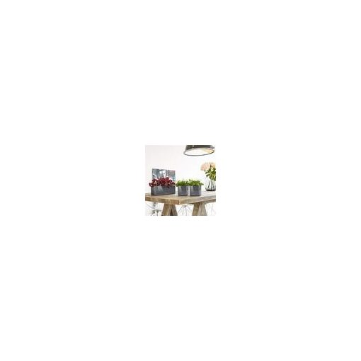 Lechuza CUBE Glossy Triple