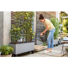 Lechuza TRIO Stone 40 kiemelhető belsővel és önöntöző készlettel