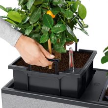 Lechuza TRIO Stone 30 kiemelhető belsővel és önöntöző készlettel 