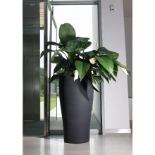 Tulum Vaso Blumentopf