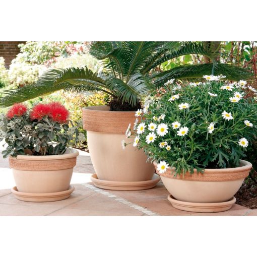 Vaso Palladio Graffiato Agyagcserép 