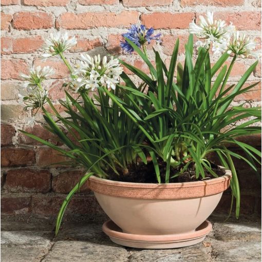 Vaso Palladio Graffiato Agyagcserép 