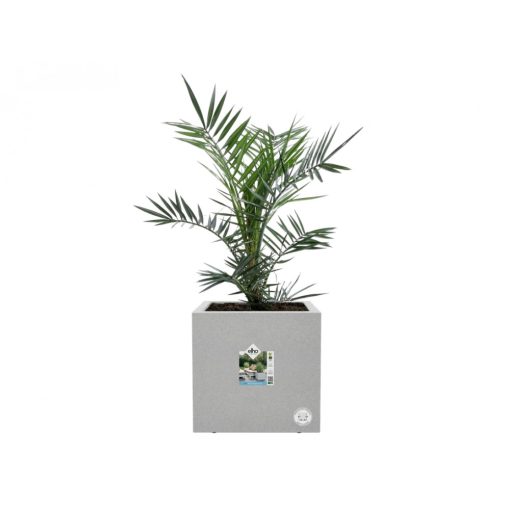 Elho vivo next finish quadratisch mit Rollen