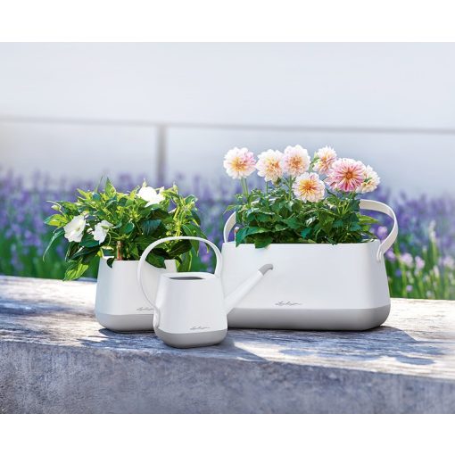 Lechuza YULA kanna All-in-One Set