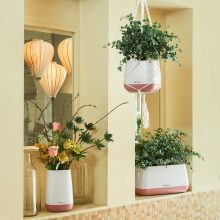 Lechuza YULA Flower All-in-One Set 