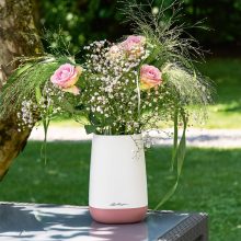 Lechuza YULA Flower All-in-One Set 